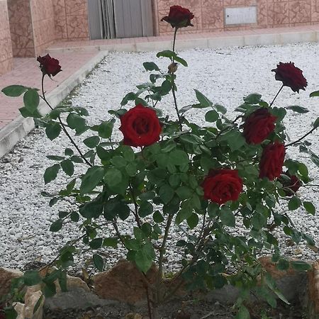 Cueva Maite Apartment Cortes de Baza ภายนอก รูปภาพ