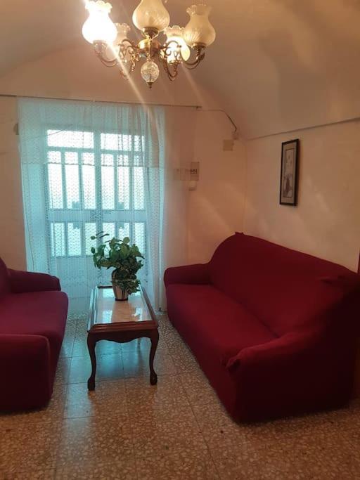 Cueva Maite Apartment Cortes de Baza ภายนอก รูปภาพ